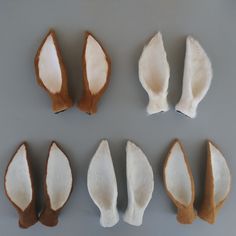 several different types of animal's feet on a gray surface with white and brown fur