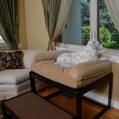 a white dog sitting on top of a chair in front of a window next to a couch