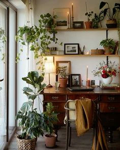 a room filled with lots of plants on top of a wooden desk next to a window