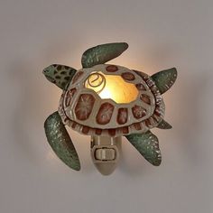 a light that is on the side of a wall with a sea turtle in it's shell