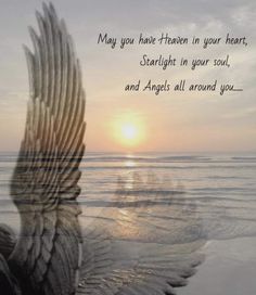 a bird with its wings spread out in front of the ocean at sunset, with an inspirational quote written on it