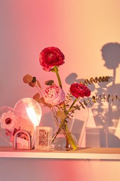 some flowers are sitting on a shelf in front of a pink wall and the shadow of a person's head