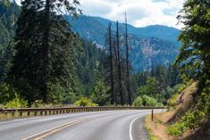 an empty road surrounded by trees and mountains