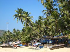 several boats are parked on the beach near palm trees