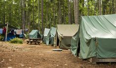 several tents are set up in the woods