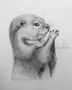 a pencil drawing of a groundhog holding its paw up to it's mouth