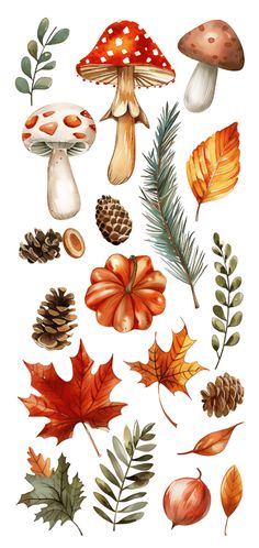 an illustration of autumn leaves and mushrooms