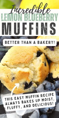 lemon blueberry muffins recipe Best Blueberry Muffin Recipes Ever, Blueberry Lemon Recipes Easy, Lemon Loaf Muffins, Best Blueberry Muffins Moist, Lemon Blueberry Muffin Recipes, Lemon Blueberry Muffins From Box Cake, Best Lemon Blueberry Muffins, 3 Ingredient Blueberry Muffins, Lemon And Blueberry Muffins