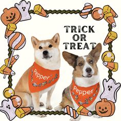 two dogs are wearing bandanas with words trick or treat in front of them,