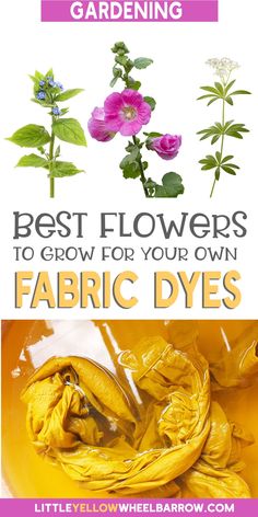 the best flowers to grow for your own fabric dyes