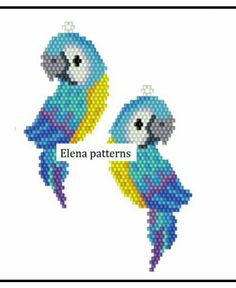 two blue and yellow parrots with the words ellena patterns