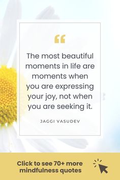 a daisy with a quote about the most beautiful moments in life are moments when you are expressing your joy, not when you are seeking it