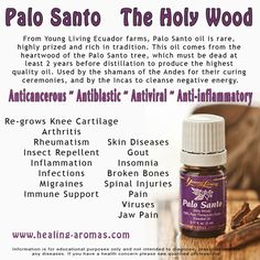 Holy Wood-Palo Santo Raindrop Therapy, Oil Dropper, Doterra Lavender