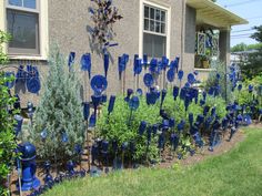 many blue vases and trees in front of a house