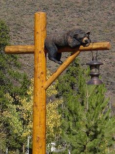 a raccoon is sitting on the top of a wooden cross with a lantern hanging from it's side