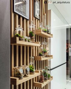 several wooden shelves with plants and vases on them in front of a striped wall