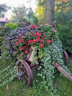 an old wheelbarrow covered in plants and flowers