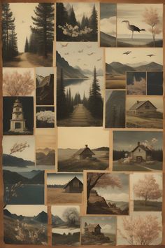 a collage of pictures with trees and mountains