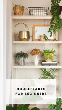 a book shelf filled with plants and potted plants