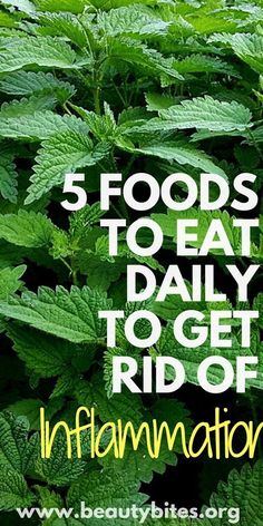 Boost your well-being daily with these 5 powerful anti-inflammatory foods.  Effortlessly incorporate these superfoods into your smoothies, salads, or nutritious meals, making them a delicious part of lunch or dinner. 


. Eat Natural, Inflammation Diet Recipes, Inflammation Remedies, Inflammation Foods, Beauty Bites, Anti Inflamatory, Anti Inflammation Recipes, Inflammation Diet, Inflammatory Diet