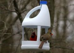 two birds perched on top of a bird feeder