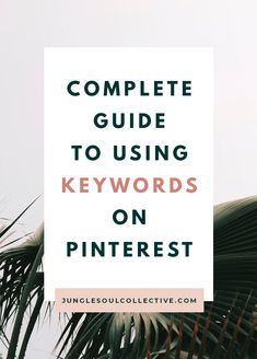 a palm tree with the words complete guide to using keywords on pinterest