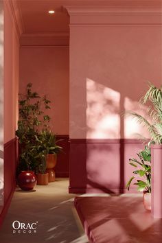 two potted plants sit on the floor in front of a wall with pink walls