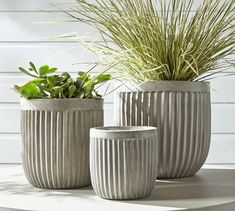 three planters with plants in them sitting on a white countertop next to each other