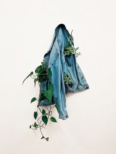 a blue jean jacket hanging on a white wall with plants growing out of the back