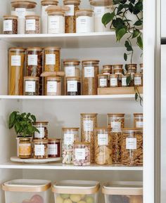 the shelves are filled with various types of spices and herbs in glass jars on them