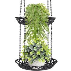 a hanging planter filled with lots of green plants and some black metal chains attached to it