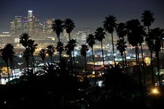 palm trees in front of the city skyline at night