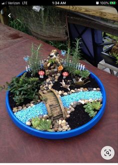 a blue bowl filled with plants and rocks