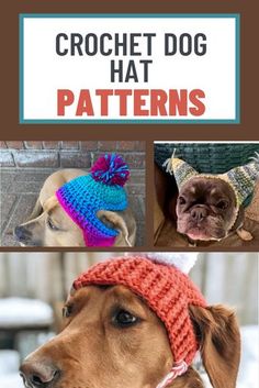 crochet hat patterns for dogs and cats