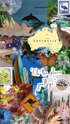 australia collage with images of animals, flowers, and other things to see on this postcard