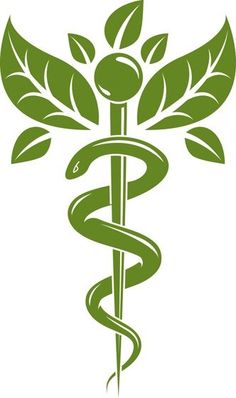 a green medical symbol with leaves and a snake wrapped around it's neck, on a white background