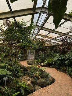 the inside of a greenhouse filled with lots of plants and rocks on either side of a walkway