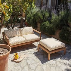 an outdoor seating area with potted plants and trees in the background, including a couch