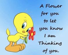 a yellow bird holding a red flower in it's beak with the words, a flower for you to let you know i am thinking of you