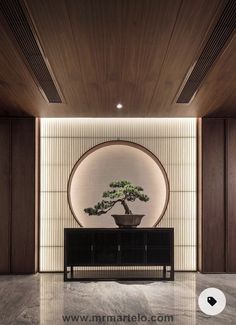 a bonsai tree is displayed in the middle of a room