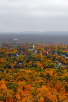 an aerial view of trees in the fall