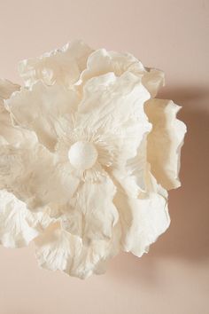 a white flower sitting on top of a pink wall