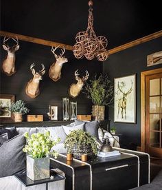 a living room with deer heads on the wall and plants in vases hanging from the ceiling