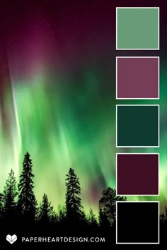 the aurora color scheme with trees and sky in the background