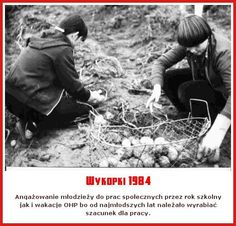 two people kneeling down in the dirt with some wire on them and one is holding something