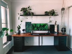 a desk with two monitors and plants on it