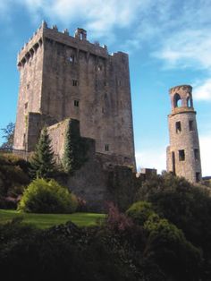 an old castle sits on top of a hill in the middle of trees and bushes