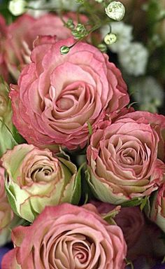 a bouquet of pink roses sitting on top of a table