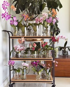 a shelf filled with lots of different types of flowers