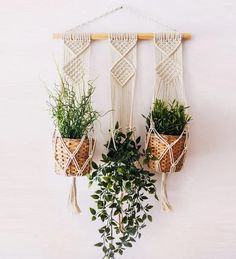 three macrame plant hangers with plants in them hanging on a white wall